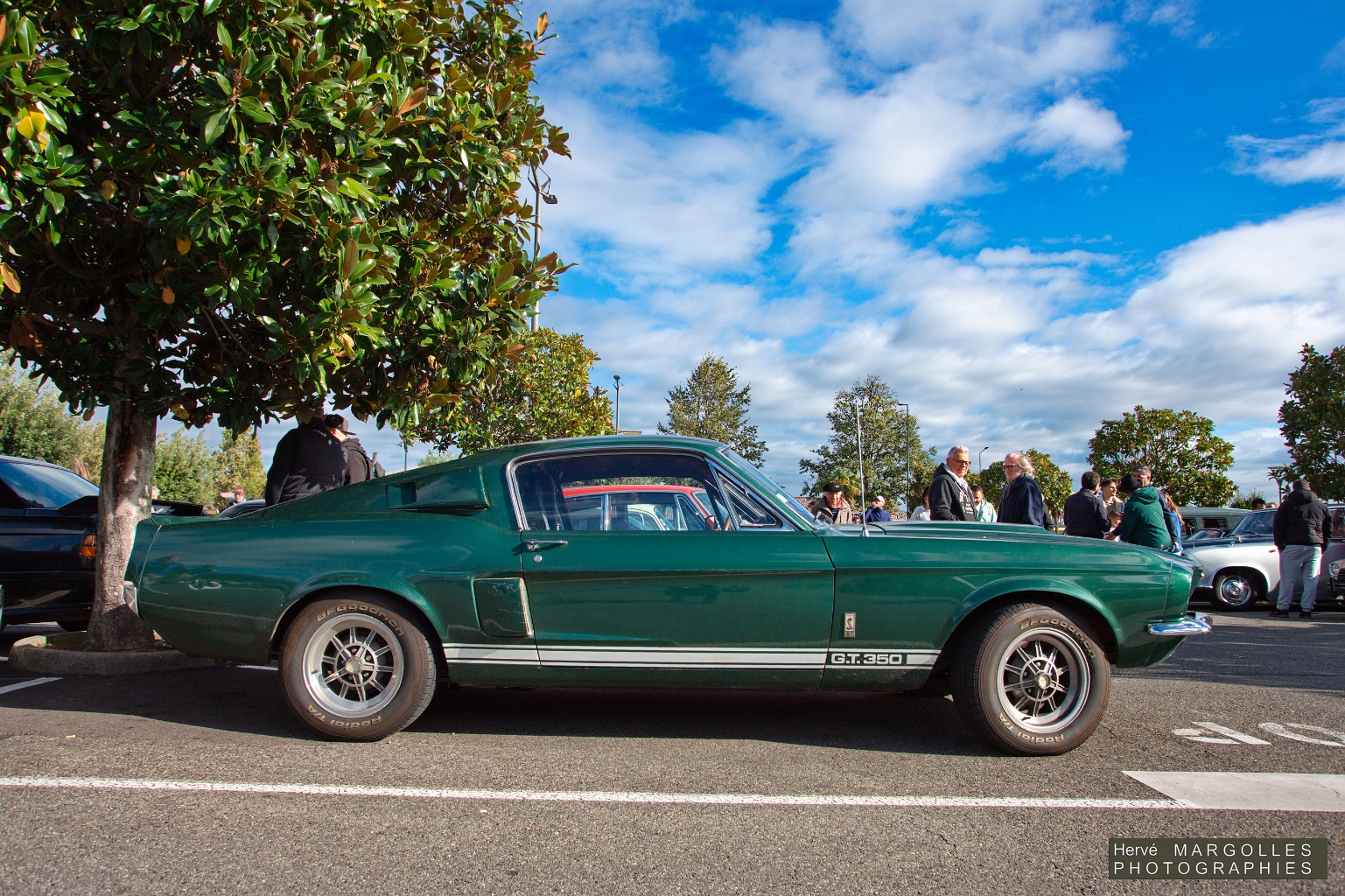 Ford Mustang GT 350.jpg